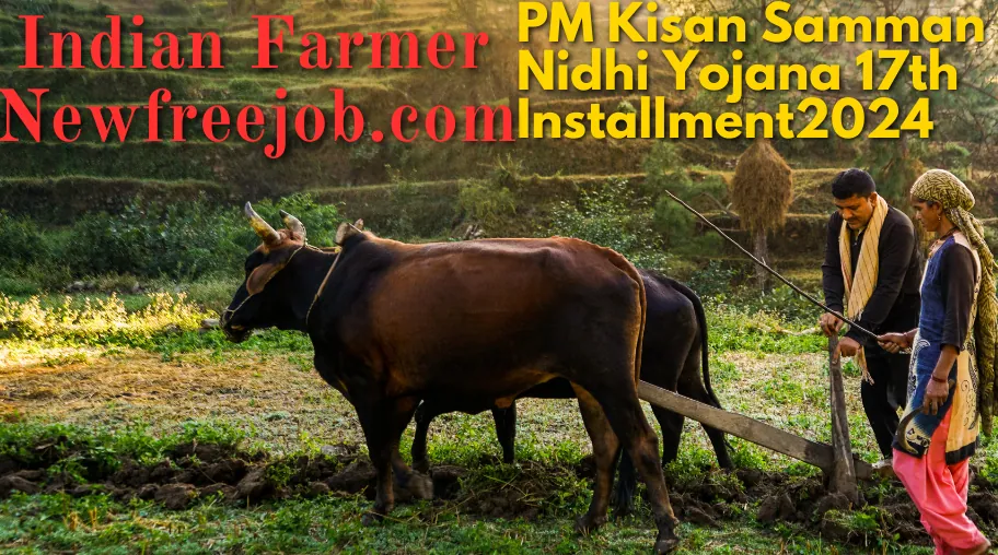 PM Kisan 17th Installment Status Check 2024