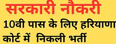 Narnaul Court Process Server Recruitment 2024