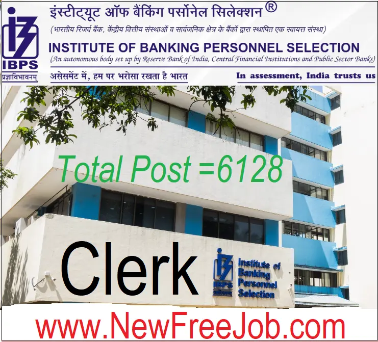 IBPS Clerk CRP XIV Recruitment 2024