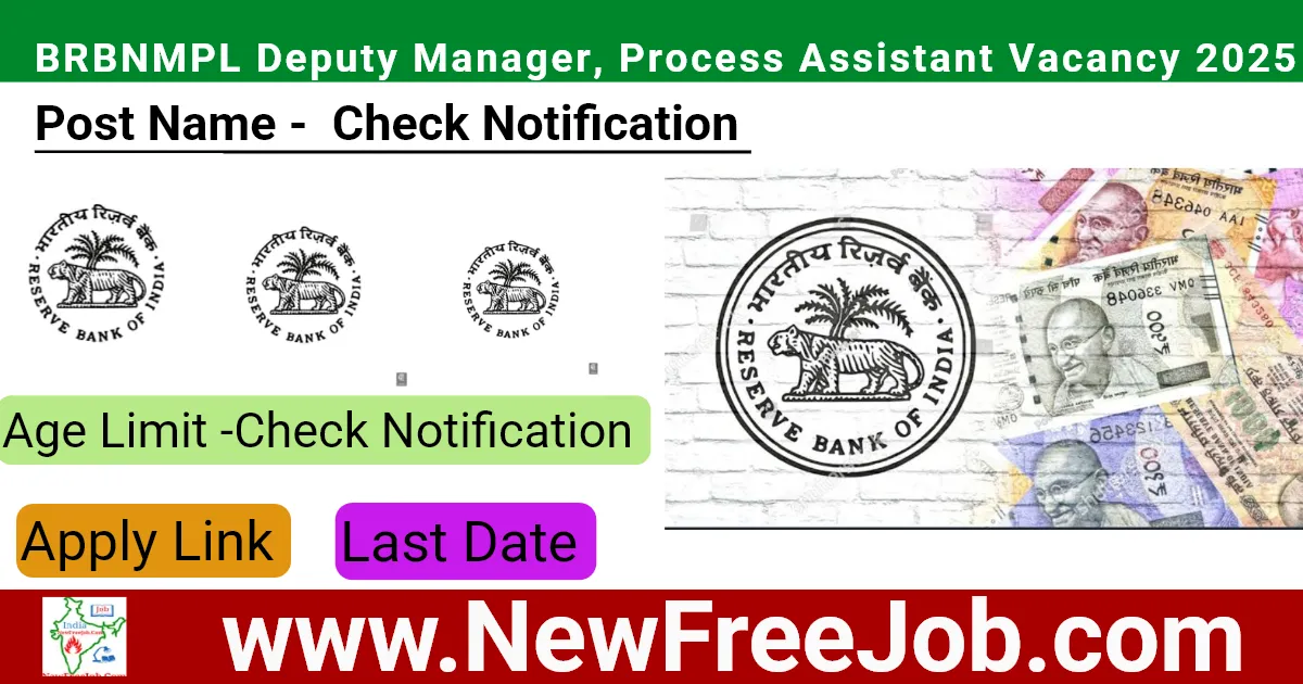 BRBNMPL Deputy Manager, Process Assistant Vacancy 2025